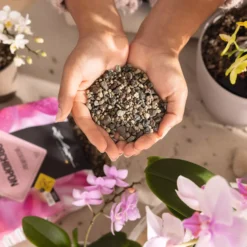 LECHUZA Substrat ORCHIDPON, 3 Liter -Deutschland Gartenbedarf Verkäufe 2024 lechuza substrat orchidpon 3 liter 1613675 de