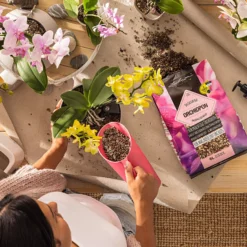 LECHUZA Substrat ORCHIDPON, 3 Liter -Deutschland Gartenbedarf Verkäufe 2024 lechuza substrat orchidpon 3 liter 1613677 de