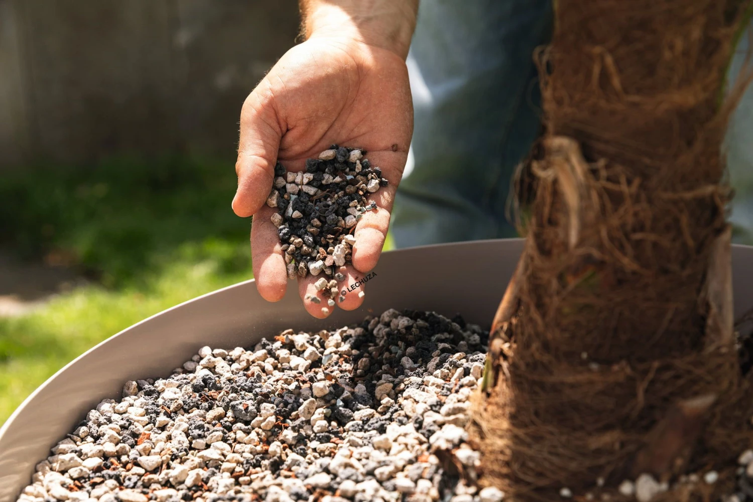 LECHUZA Substrat Palm-PON, 25 Liter 4 LECHUZA Substrat Palm-PON, 25 Liter – Bild 2