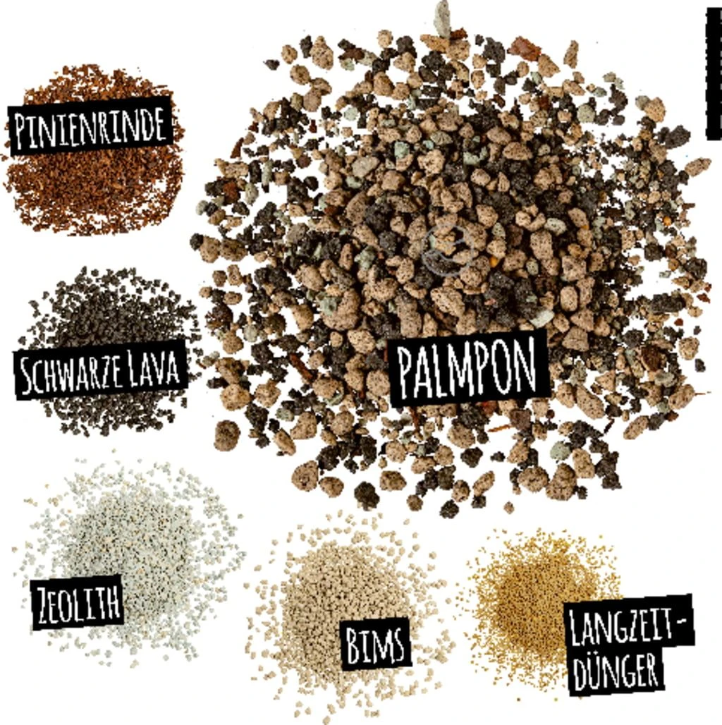 LECHUZA Substrat Palm-PON, 25 Liter 6 LECHUZA Substrat Palm-PON, 25 Liter – Bild 4
