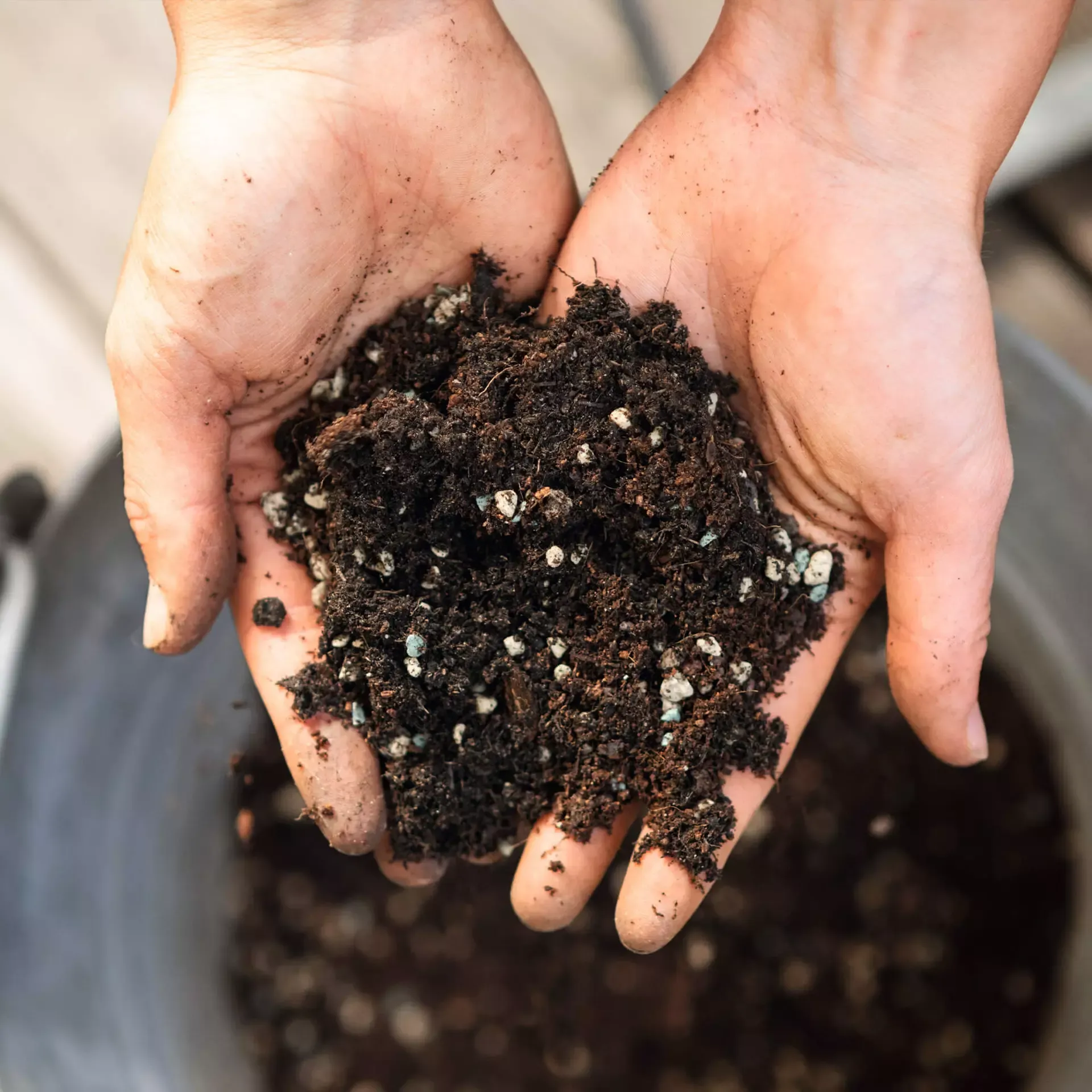 LECHUZA Substrat VEGGIE-PON, 12 Liter 4 LECHUZA Substrat VEGGIE-PON, 12 Liter – Bild 2