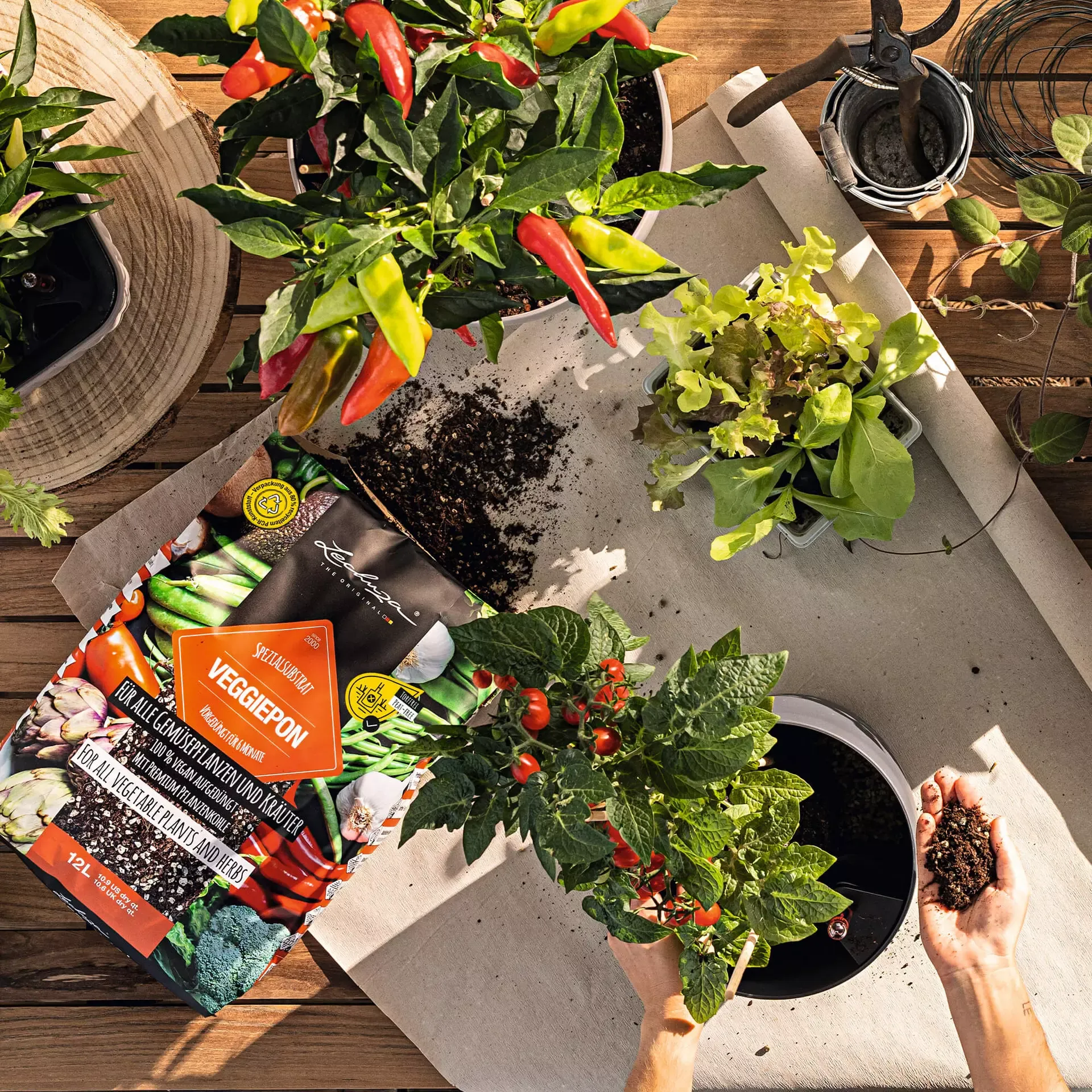 LECHUZA Substrat VEGGIE-PON, 12 Liter 11 LECHUZA Substrat VEGGIE-PON, 12 Liter – Bild 9