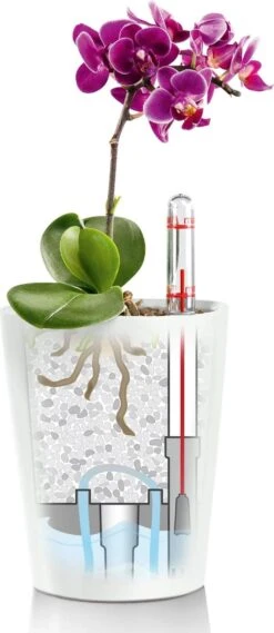 LECHUZA Tischgefäß MINI DELTINI, Weiß 21 LECHUZA Tischgefäß MINI DELTINI, Weiß -Deutschland Gartenbedarf Verkäufe 2024 lechuza tischgefaess mini deltini 1668316 de