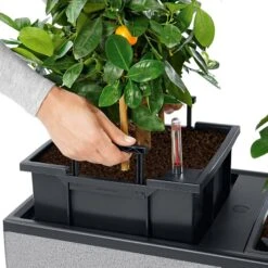 LECHUZA Pflanzgefäß TRIO "Stone" 40, Steingrau 11 LECHUZA Pflanzgefäß TRIO "Stone" 40, Steingrau -Deutschland Gartenbedarf Verkäufe 2024 lechuza trio stone 40 komplett set 1143257 de