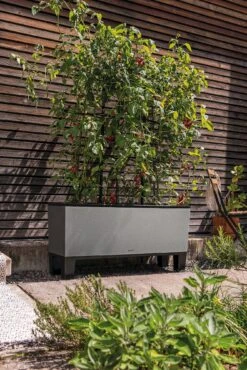 LECHUZA Pflanzgefäß TRIO "Stone" 40, Steingrau 10 LECHUZA Pflanzgefäß TRIO "Stone" 40, Steingrau -Deutschland Gartenbedarf Verkäufe 2024 lechuza trio stone 40 komplett set 1143264 de