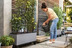 LECHUZA Pflanzgefäß TRIO "Stone" 40, Steingrau 9 LECHUZA Pflanzgefäß TRIO "Stone" 40, Steingrau -Deutschland Gartenbedarf Verkäufe 2024 lechuza trio stone 40 komplett set 1143271 de