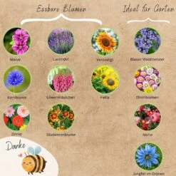 Bio Bienen Blumensamen Set -Deutschland Gartenbedarf Verkäufe 2024 loveplants bio bienen blumensamen set 1546721 de