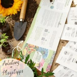 Bio Bienen Blumensamen Set -Deutschland Gartenbedarf Verkäufe 2024 loveplants bio bienen blumensamen set 1546725 de