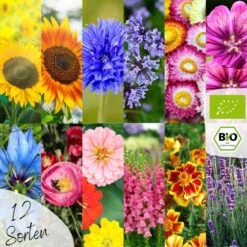 Bio Bienen Blumensamen Set -Deutschland Gartenbedarf Verkäufe 2024 loveplants bio bienen blumensamen set 1546737 de