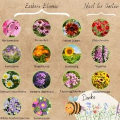Bio Blumensamen Set -Deutschland Gartenbedarf Verkäufe 2024 loveplants bio blumensamen set 1546651 de