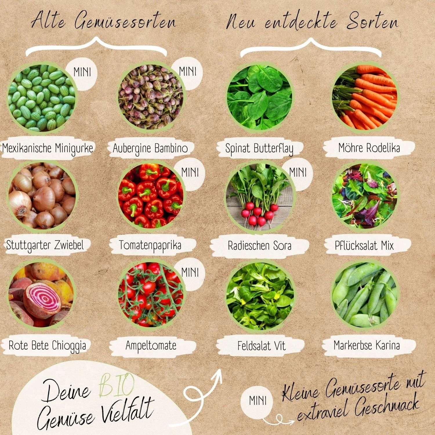 Bio Hochbeet & Balkon Gemüse Samen Set 3 Bio Hochbeet & Balkon Gemüse Samen Set