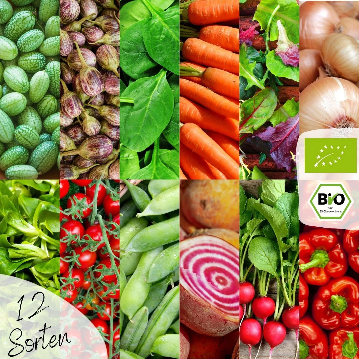 Bio Hochbeet & Balkon Gemüse Samen Set 7 Bio Hochbeet & Balkon Gemüse Samen Set – Bild 5