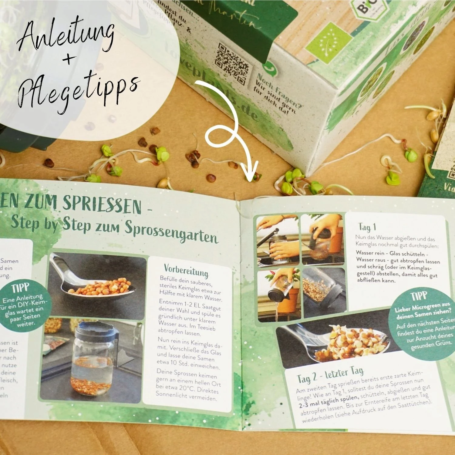 Bio Keimsprossen Samen Set 8 Bio Keimsprossen Samen Set – Bild 6