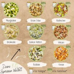 Bio Keimsprossen Samen Set 12 Bio Keimsprossen Samen Set -Deutschland Gartenbedarf Verkäufe 2024 loveplants bio keimsprossen samen set 1546789 de