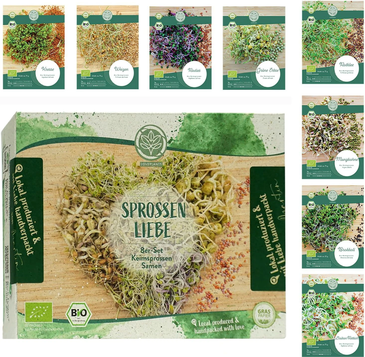 Bio Keimsprossen Samen Set 4 Bio Keimsprossen Samen Set – Bild 2