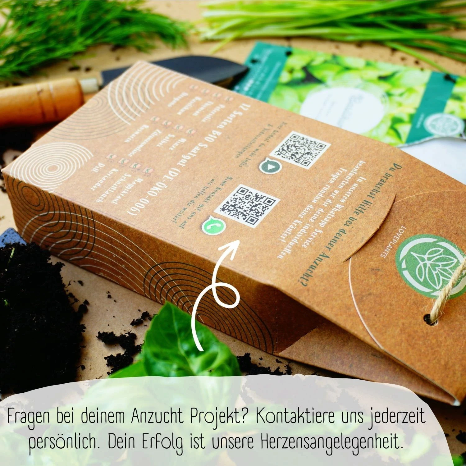 Bio Kräutersamen Set 6 Bio Kräutersamen Set – Bild 4