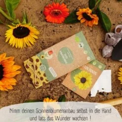 Bio Sonnenblumen Samen Set -Deutschland Gartenbedarf Verkäufe 2024 loveplants bio sonnenblumen samen set 1682930 de