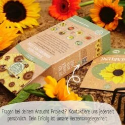 Bio Sonnenblumen Samen Set -Deutschland Gartenbedarf Verkäufe 2024 loveplants bio sonnenblumen samen set 1682932 de