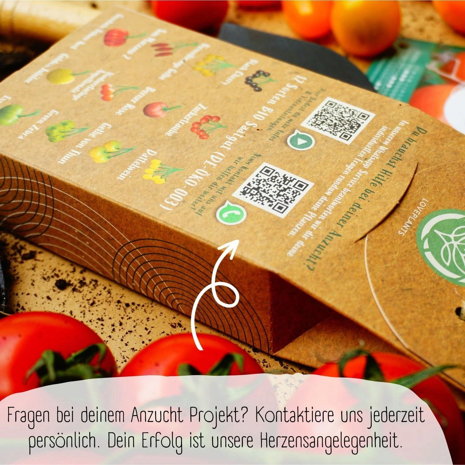 Bio Tomatensamen Set 7 Bio Tomatensamen Set – Bild 5