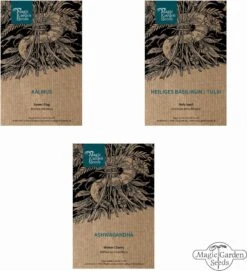 Ayurvedische Heilkräuter - Samenset -Deutschland Gartenbedarf Verkäufe 2024 magic garden seeds ayurvedische heilkraeuter samenset 1 set 1303359 de