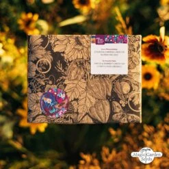 Bio Stauden & Sommerblumen - Samenset -Deutschland Gartenbedarf Verkäufe 2024 magic garden seeds bio stauden sommerblumen samenset 1436931 de