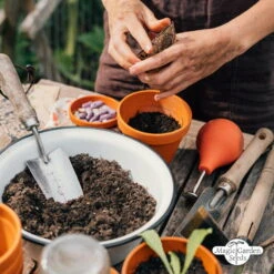 Bunte Alte Tomatensorten - Samenset 18 Bunte Alte Tomatensorten - Samenset -Deutschland Gartenbedarf Verkäufe 2024 magic garden seeds bunte alte tomatensorten samenset 1 set 1217646 de