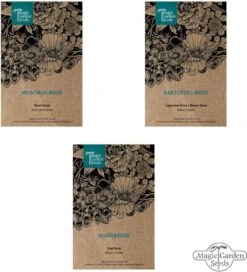 Duftende Wildrosen - Samenset 14 Duftende Wildrosen - Samenset -Deutschland Gartenbedarf Verkäufe 2024 magic garden seeds duftende wildrosen samenset 1680115 de