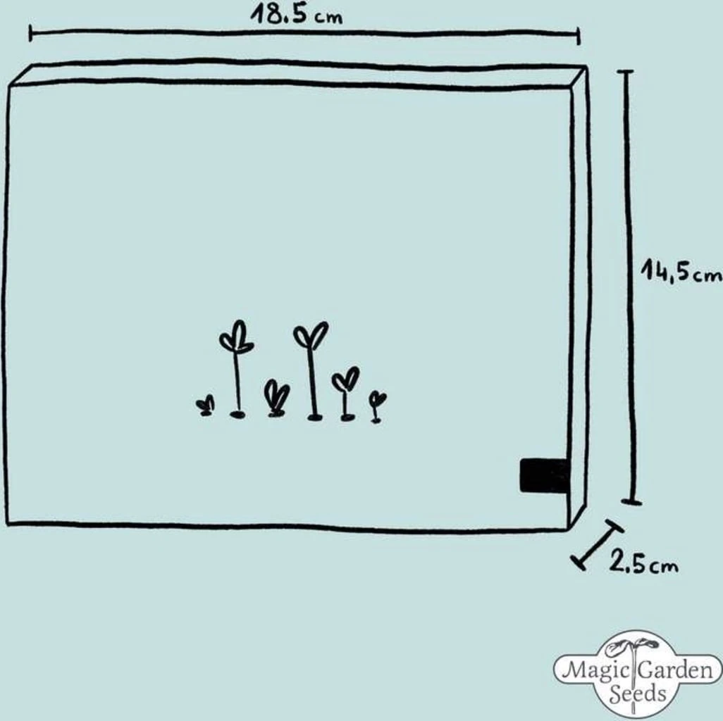 Duftende Wildrosen - Samenset 7 Duftende Wildrosen - Samenset – Bild 5