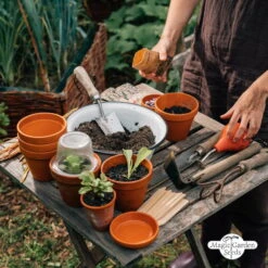 Hildegard Von Bingen: Klostergarten - Samenset 16 Hildegard Von Bingen: Klostergarten - Samenset -Deutschland Gartenbedarf Verkäufe 2024 magic garden seeds hildegard von bingen klostergarten samenset 1 set 1217200 de