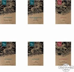 Hildegard Von Bingen: Klostergarten - Samenset 21 Hildegard Von Bingen: Klostergarten - Samenset -Deutschland Gartenbedarf Verkäufe 2024 magic garden seeds hildegard von bingen klostergarten samenset 1 set 1303087 de