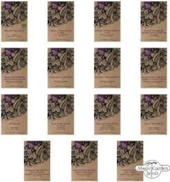 Italienische Gemüse-Raritäten , Samenset 11 Italienische Gemüse-Raritäten , Samenset -Deutschland Gartenbedarf Verkäufe 2024 magic garden seeds italienische gemuese raritaeten froekit 1678080 de