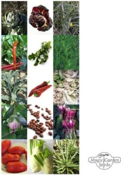 Italienische Gemüse-Raritäten , Samenset 13 Italienische Gemüse-Raritäten , Samenset -Deutschland Gartenbedarf Verkäufe 2024 magic garden seeds italienische gemuese raritaeten froekit 1678081 de