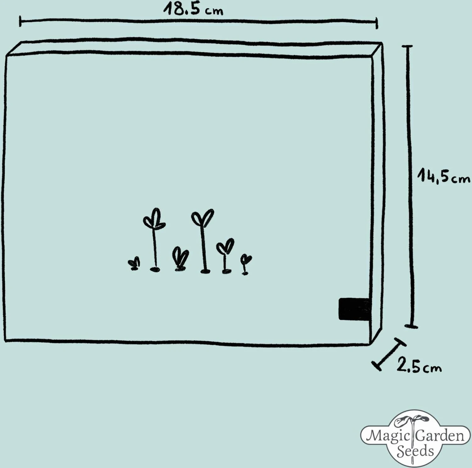 Spargel Vielfalt - Samenset 5 Spargel Vielfalt - Samenset – Bild 3