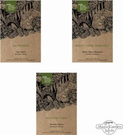 Tabak Vielfalt - Samenset -Deutschland Gartenbedarf Verkäufe 2024 magic garden seeds tabak vielfalt samenset 1436639 de