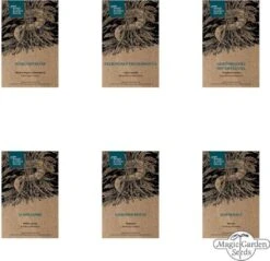 Wichtige Heilpflanzen Der Frauenheilkunde - Samenset -Deutschland Gartenbedarf Verkäufe 2024 magic garden seeds wichtige heilpflanzen der frauenheilkunde samenset 1663522 de