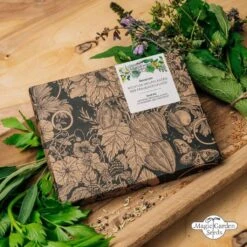 Wichtige Heilpflanzen Der Frauenheilkunde - Samenset -Deutschland Gartenbedarf Verkäufe 2024 magic garden seeds wichtige heilpflanzen der frauenheilkunde samenset 1680207 de