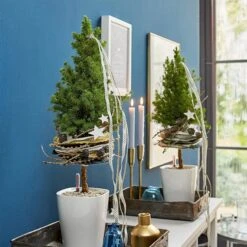 LECHUZA Tischgefäß MINI DELTINI, Weiß 14 LECHUZA Tischgefäß MINI DELTINI, Weiß -Deutschland Gartenbedarf Verkäufe 2024 mini deltini tischgefaess 673180 de