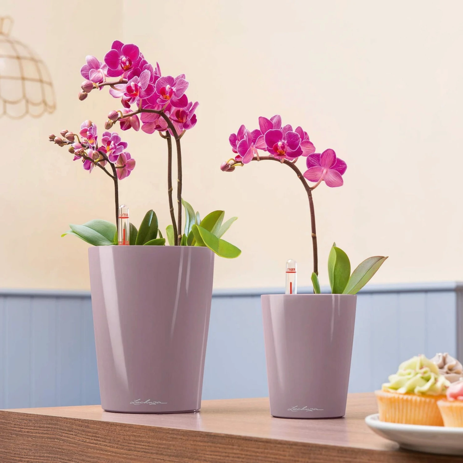 LECHUZA Tischgefäß MINI DELTINI, Weiß 9 LECHUZA Tischgefäß MINI DELTINI, Weiß – Bild 7