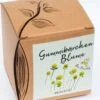 Anzuchtset "Gummibärchenblume" 1 Anzuchtset "Gummibärchenblume" -Deutschland Gartenbedarf Verkäufe 2024 naturkraftwerk anzuchtset gummibaerchenblume 1 st 1667806 de