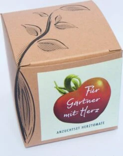 Anzuchtset "Herztomate"