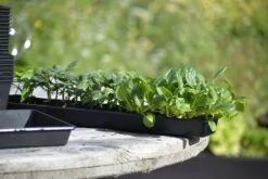 Anzuchtschale Solid 14 X 68 Cm -Deutschland Gartenbedarf Verkäufe 2024 nelson garden anzuchtschale solid 14 x 68 cm 1460241 de