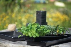 Anzuchtschale Solid 14 X 68 Cm -Deutschland Gartenbedarf Verkäufe 2024 nelson garden anzuchtschale solid 14 x 68 cm 1460255 de