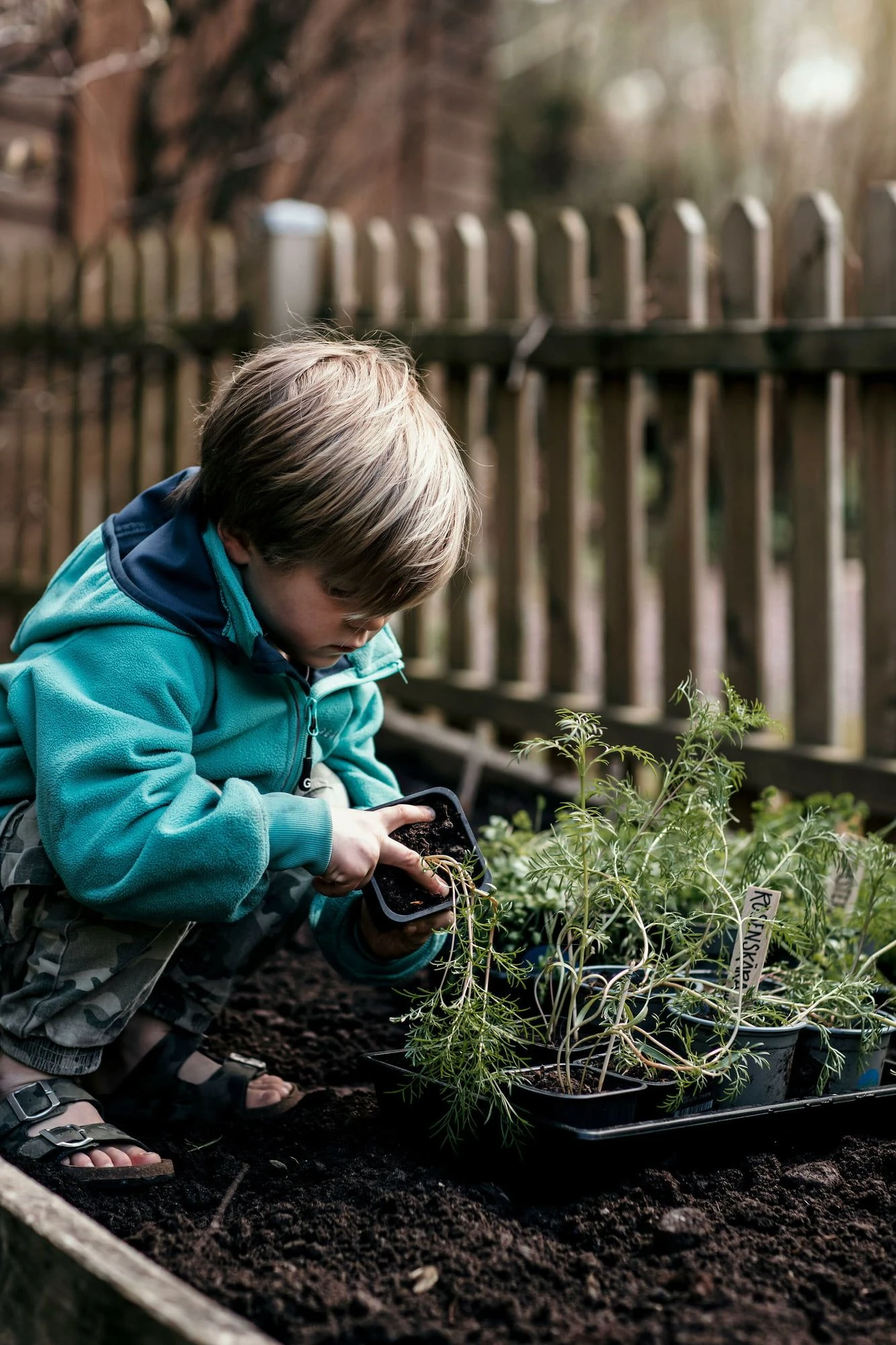 Anzuchtschale Solid 24 X 38 Cm 6 Anzuchtschale Solid 24 X 38 Cm – Bild 4