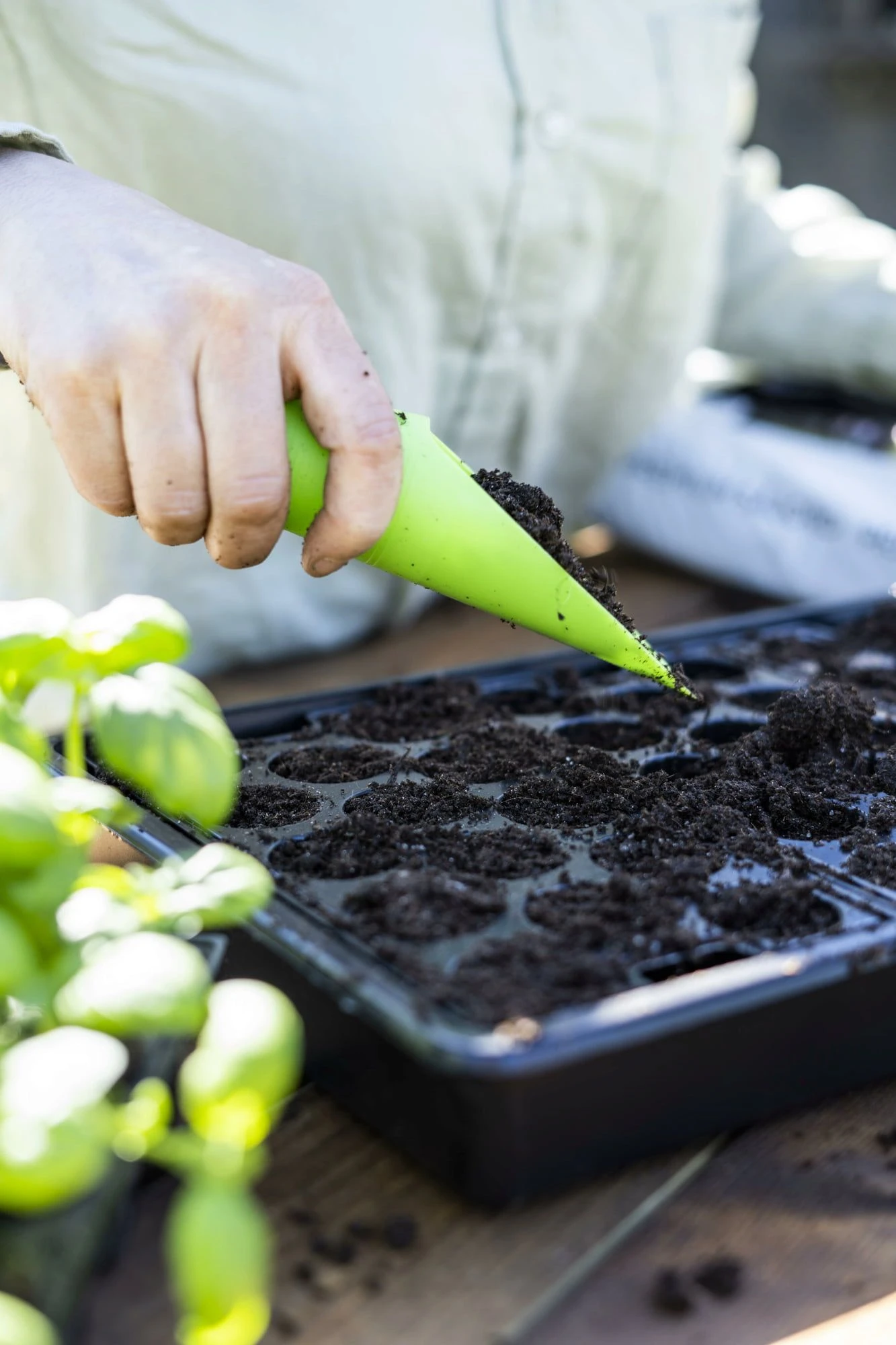 Anzuchtschale Solid 24 X 38 Cm 7 Anzuchtschale Solid 24 X 38 Cm – Bild 5