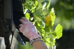 Anzuchtschale Solid 26 X 68 Cm 10 Anzuchtschale Solid 26 X 68 Cm -Deutschland Gartenbedarf Verkäufe 2024 nelson garden anzuchtschale solid 26 x 68 cm 1460520 de