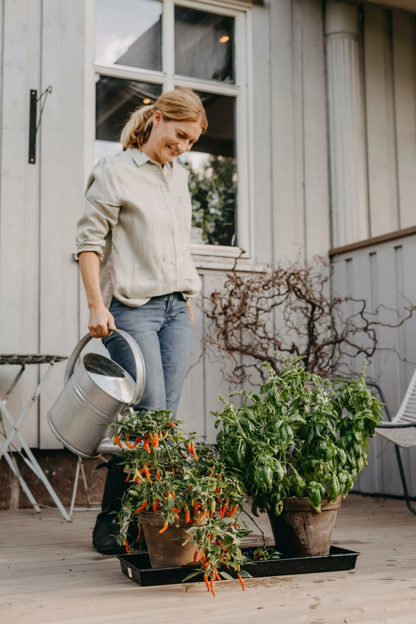 Anzuchtschale Solid 26 X 68 Cm 4 Anzuchtschale Solid 26 X 68 Cm – Bild 2