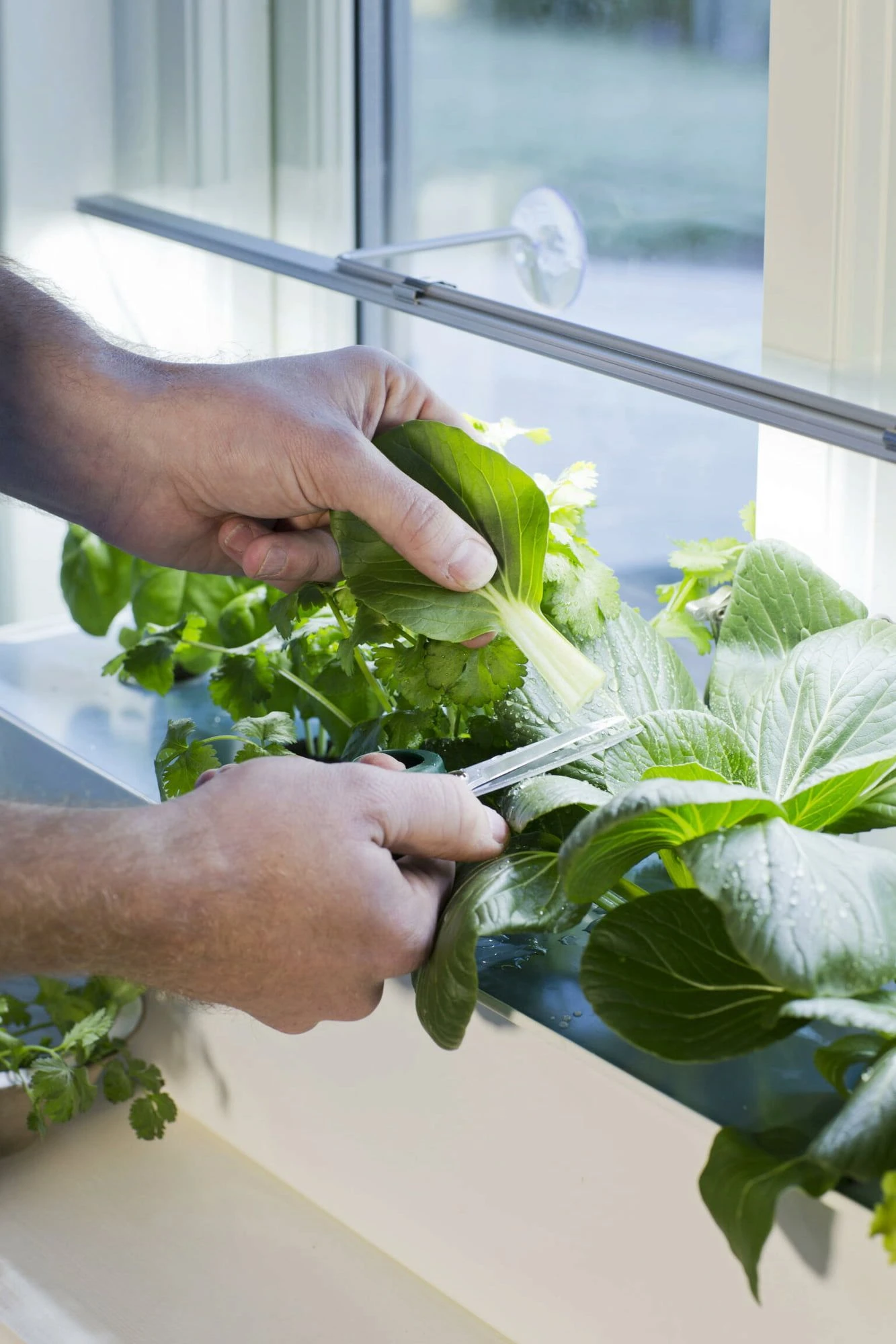 LED-Pflanzen-Wachstums-Leiste, 85 Cm 3 LED-Pflanzen-Wachstums-Leiste, 85 Cm