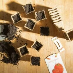 Abbaubare Anzuchttöpfe Eckig, 120 Stück -Deutschland Gartenbedarf Verkäufe 2024 own grown abbaubare anzuchttoepfe eckig 120 st 1679318 de