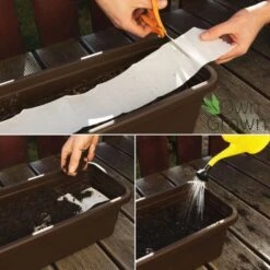 Balkonblumen Hängend - Saatgut-Teppiche -Deutschland Gartenbedarf Verkäufe 2024 own grown balkonblumen haengend saatgut teppiche 1 paket 1684307 de