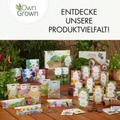 Balkonblumen Hängend - Saatgut-Teppiche -Deutschland Gartenbedarf Verkäufe 2024 own grown balkonblumen haengend saatgut teppiche 1 paket 1684312 de